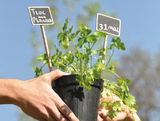 Incroyables Comestibles et Permaculture Day