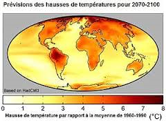 Et si la nature était une solution au changement climatique ?